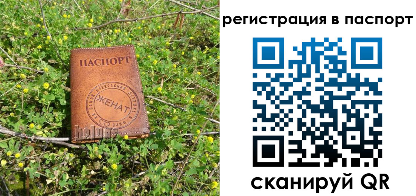 прописка законно в Талице